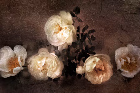 Canvastavla - Vintage Wild Roses