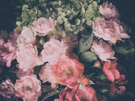 Canvastavla - Bouquet of Roses and Hydrangeas