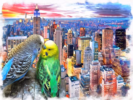 Canvastavla - Budgerigars Against the Backdrop of