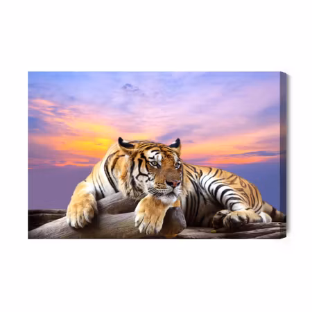 Canvastavla - Tiger Resting