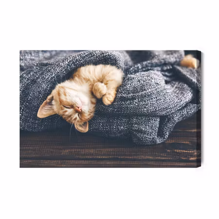 Canvastavla - Sleeping Ginger Kitten