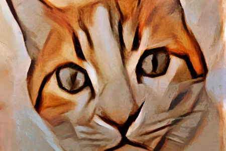Canvastavla - Portrait of a Cat As Painted