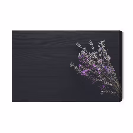 Canvastavla - Lavender on the Background of Dark