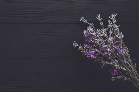 Canvastavla - Lavender on the Background of Dark