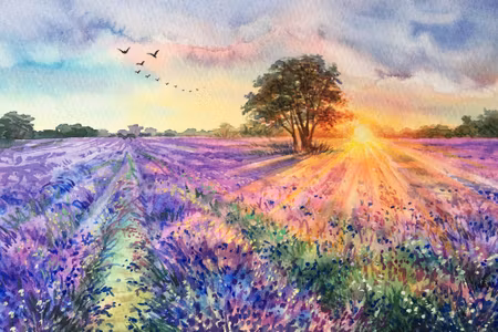 Canvastavla - Lavender Landscape Painted with