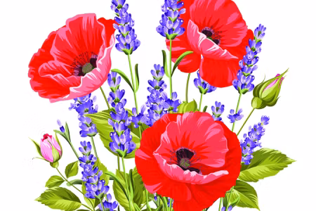 Canvastavla - Bouquet of Poppies and Lavender
