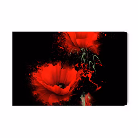 Canvastavla - Red Poppies on a Black Background