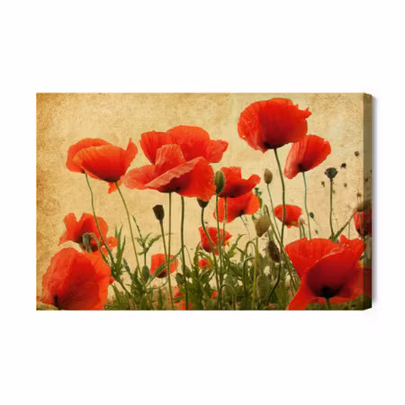 Canvastavla - Vintage Wild Poppies