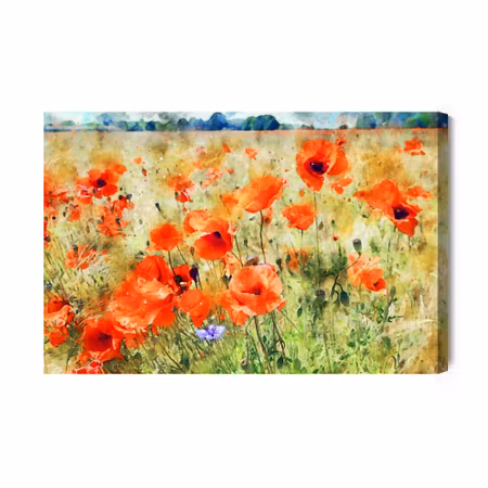 Canvastavla - Watercolor Poppies in the Meadow