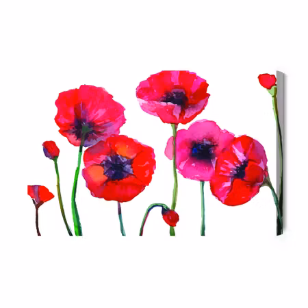 Canvastavla - Beautiful Watercolor Poppies