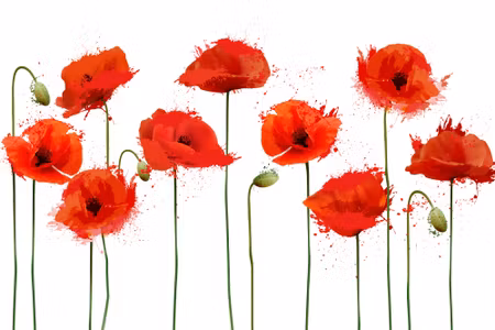 Canvastavla - Red Poppies in an Abstract Version