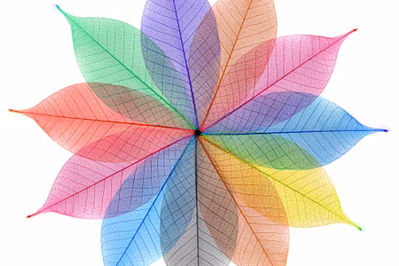 Canvastavla - Colorful Leaves in an Abstract Form