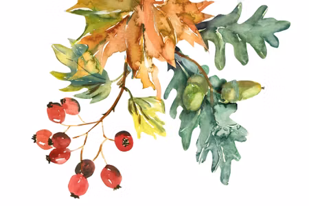 Canvastavla - Autumn Leaves and Fruits Painted in