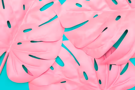 Canvastavla - Pink Decorative Monstera Leaves
