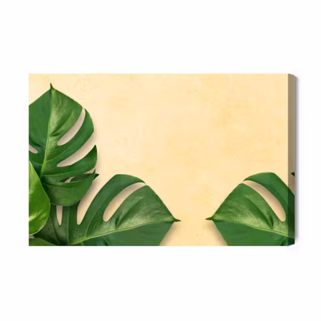 Canvastavla - Monstera Leaves on a Beige