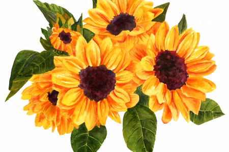 Canvastavla - A Bouquet of Sunflowers As Painted