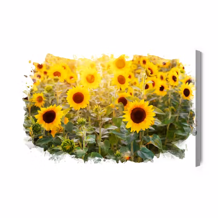 Canvastavla - The Sunflower Field in an Artistic