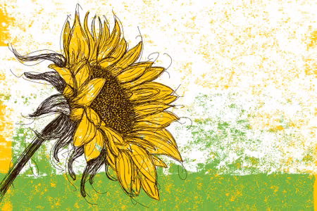Canvastavla - Sunflower As Sketched