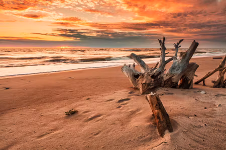 Canvastavla - Sunset on the Beach
