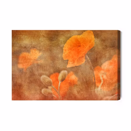 Canvastavla - Poppies in Vintage Style