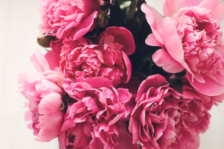 Canvastavla - Bouquet of Peony Roses