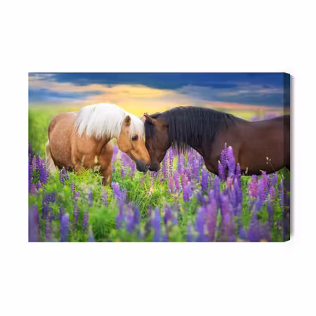Canvastavla - Horses in Love with Flowers