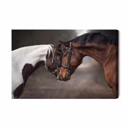 Canvastavla - Beautiful Horses in the Woods