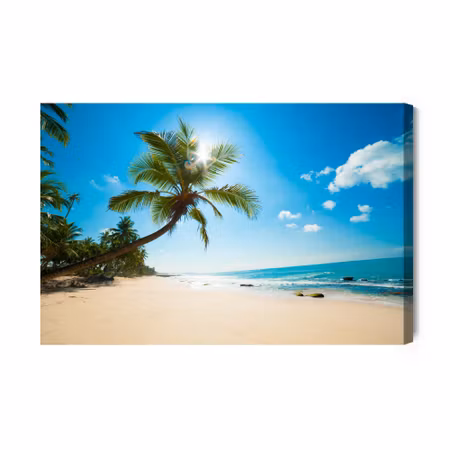Canvastavla - White Beach with Palm