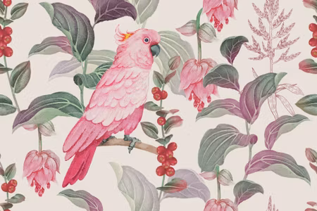 Canvastavla - Of Tropical Pink Parrot