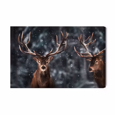 Canvastavla - Two Magnificent Stags