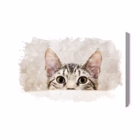 Canvastavla - Curious Kitten Painted in