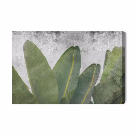 Canvastavla - Tropical Leaves on Concrete