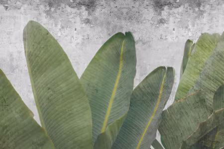 Canvastavla - Tropical Leaves on Concrete
