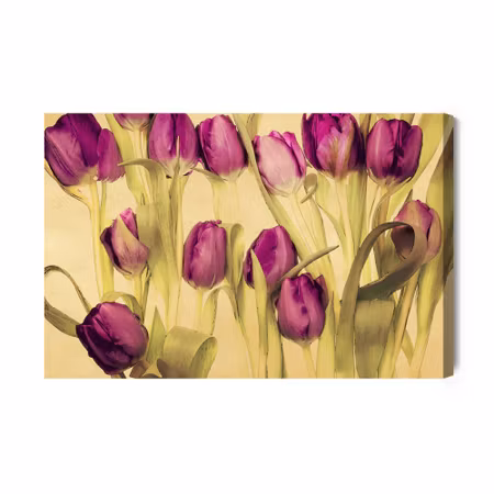Canvastavla - Retro Style Tulips