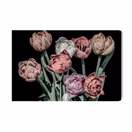 Canvastavla - Pastel Tulips on a Black Background
