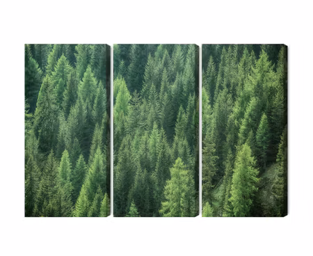 Canvastavla - Multipart Green Forest View D