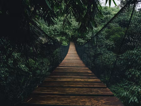 Canvastavla - Multipart Wooden Suspension Bridge