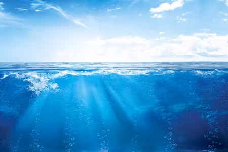 Canvastavla - The Beauty of the Sea