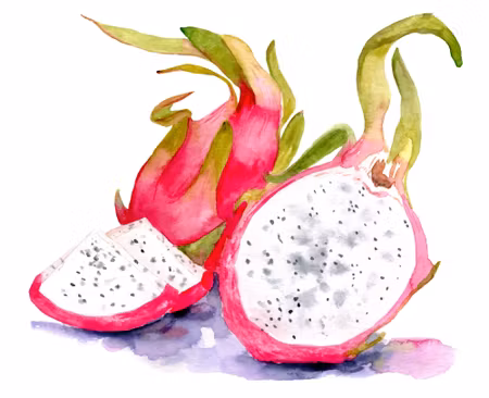 Canvastavla - Watercolor Dragon Fruit
