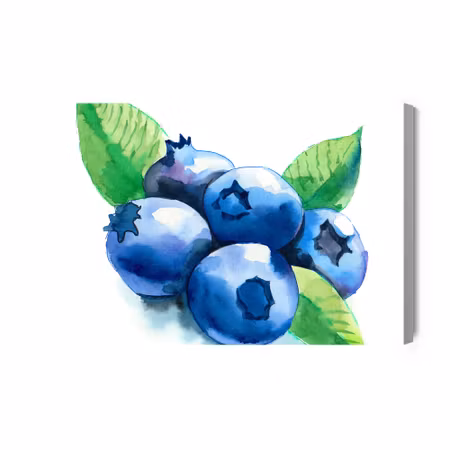 Canvastavla - Blueberries Painted with Watercolors