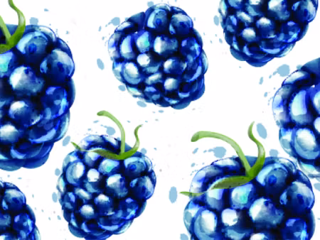 Canvastavla - Painted Blackberries