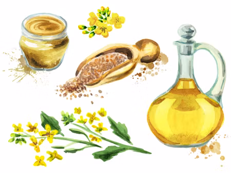 Canvastavla - Spices and Flowers Painted in