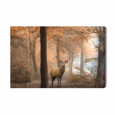 Canvastavla - Deer in the Autumn Forest