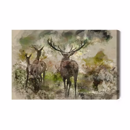 Canvastavla - Watercolor Deer in the Forest