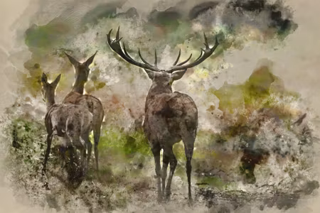 Canvastavla - Watercolor Deer in the Forest