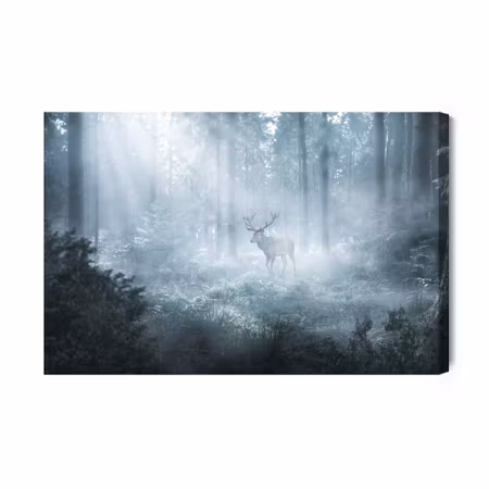 Canvastavla - A Deer in a Dark Forest