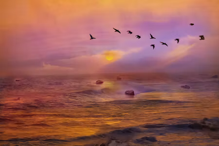 Canvastavla - Birds over the Ocean