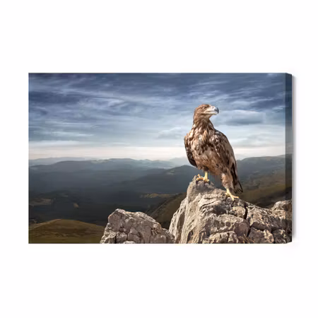 Canvastavla - Eagle on Top of the Mountain