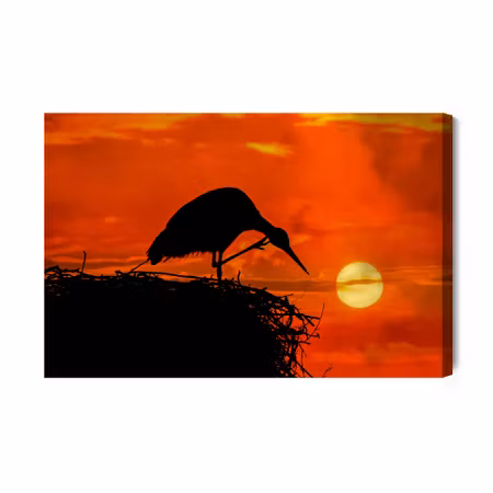 Canvastavla - Bird in the Nest