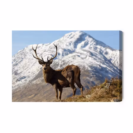 Canvastavla - A Deer with a Mountain Peak in the